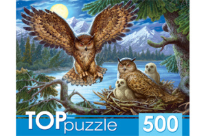 Пазлы 500 эл. TOPpuzzle "Ночные совы", ХТП500-4218
