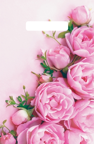 Пакет с вырубной неусиленной ручкой 20х30 (х100) (Ненси), ВНР55127