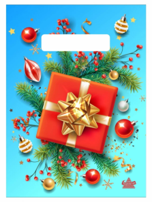 Пакет ПЭ с вырубной неусилинной ручкой 19х25см (30) (Красный подарок),ВНР53351