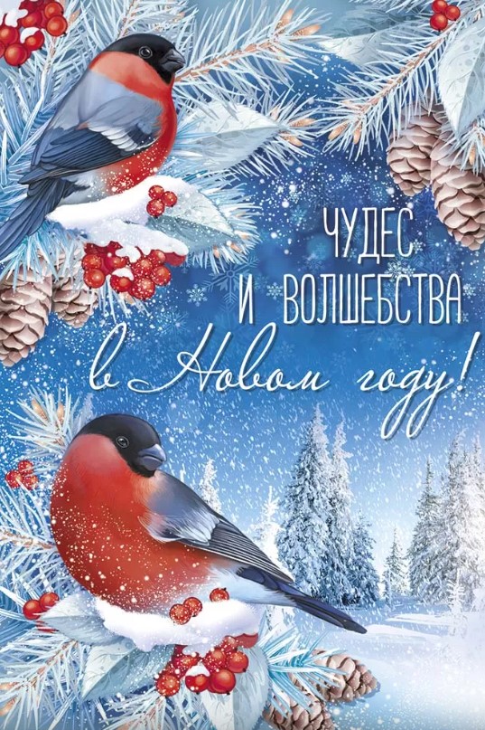 Открытка 'С Новым Годом', 92.979.00